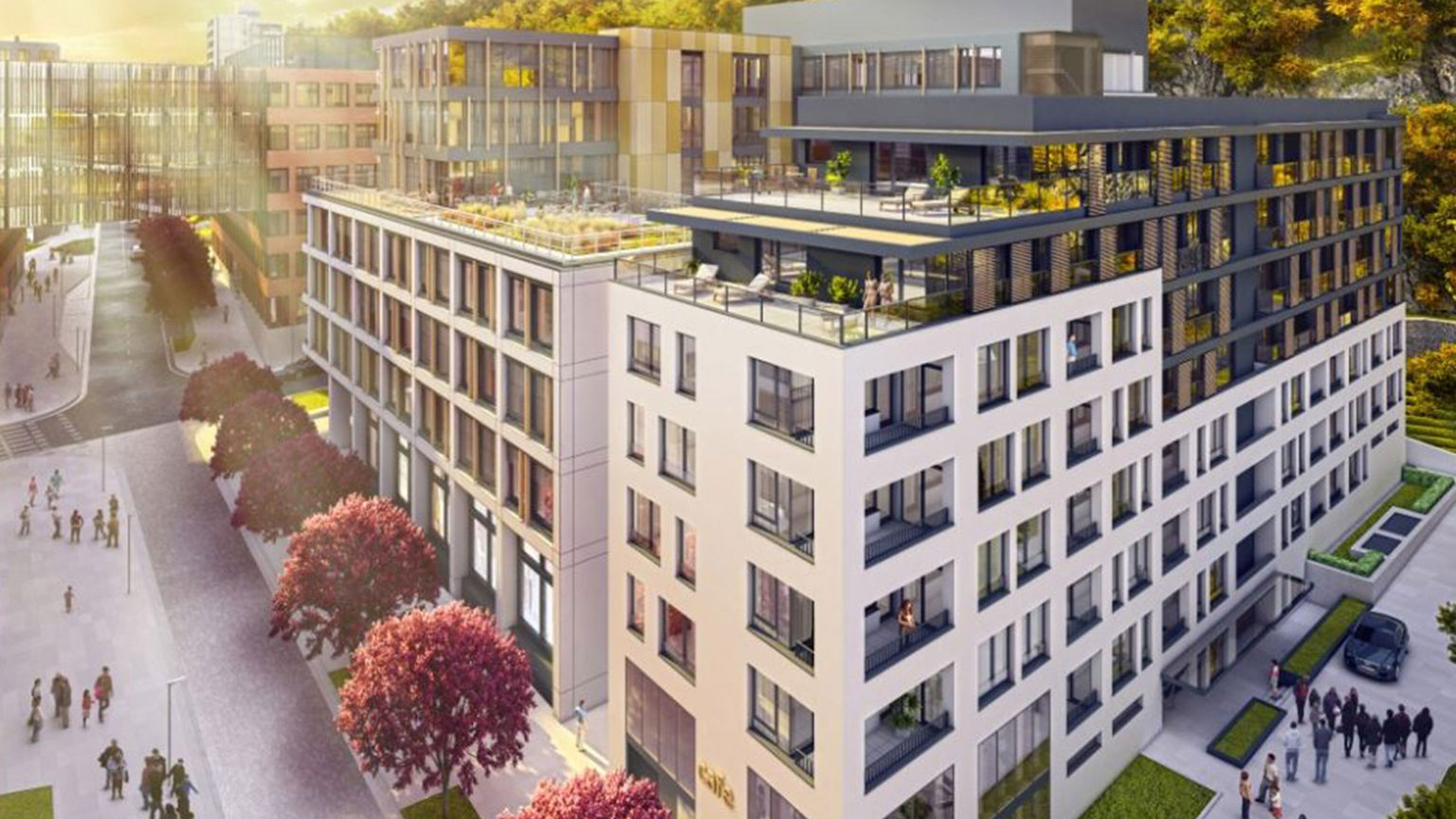 Zuckermandel Projects Gleeds Zuckermandel projects gleeds